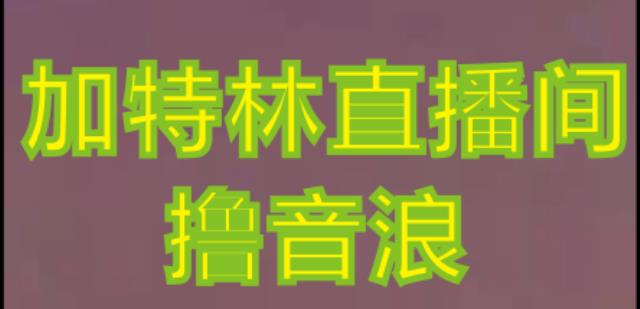 抖音加特林直播间搭建技术，抖音0粉开播，暴力撸音浪，2023新口子，每天800+【素材+详细教程】-晟哥学社资源库
