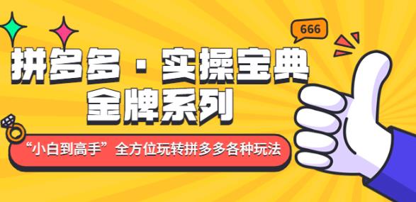 拼多多·实操宝典：金牌系列“小白到高手”带你全方位玩转拼多多各种玩法-晟哥学社资源库
