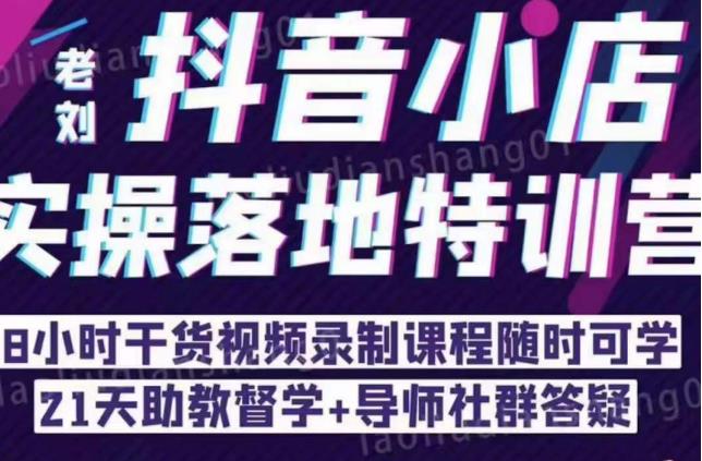 抖音小店实操落地特训营：抖音小店无货源精细化运营，抖店商品卡流量（22节）-晟哥学社资源库