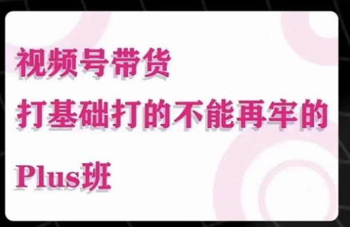 大播汇·视频号带货Puls班，视频号底层逻辑，起号自然流鱼塘等玩法-晟哥学社资源库