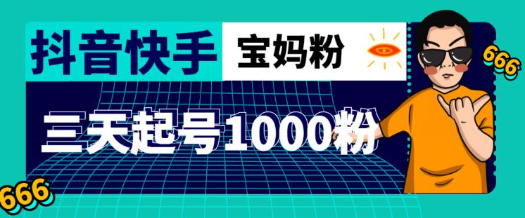 抖音快手三天起号涨粉1000宝妈粉丝的核心方法【详细玩法教程】-晟哥学社资源库