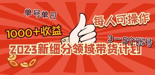 2023新细分领域带货计划：单号单日1000+收益不难，每人可操作3-5个账号-晟哥学社资源库