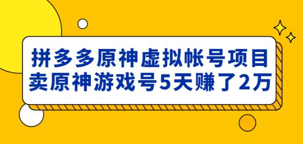 外面卖2980的拼多多原神虚拟帐号项目：卖原神游戏号5天赚了2万-晟哥学社资源库