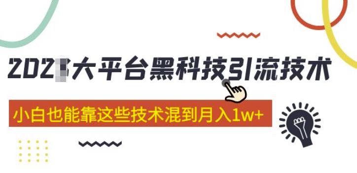大平台黑科技引流技术，小白也能靠这些技术混到月入1w+(2022年的课程）-晟哥学社资源库