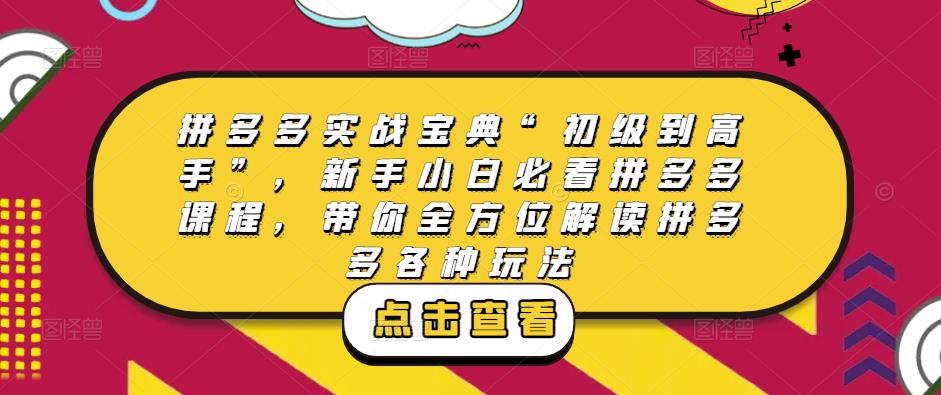 拼多多实战宝典“初级到高手”，新手小白必看拼多多课程，带你全方位解读拼多多各种玩法-晟哥学社资源库