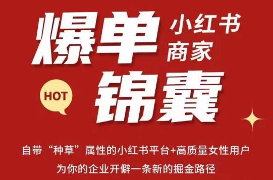 无畏·小红书商家爆单锦囊，掌握小红书各大规则，快速精准抢占行业和市场-晟哥学社资源库