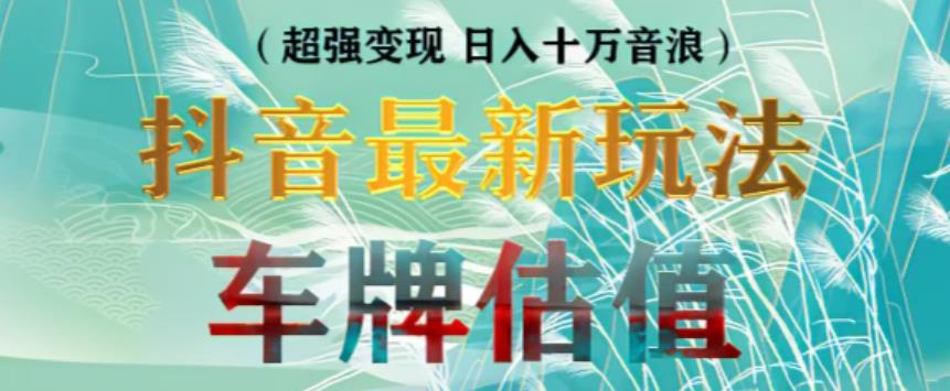 抖音最新无人直播变现直播车牌估值玩法项目，轻松日赚几百+【详细玩法教程】-晟哥学社资源库