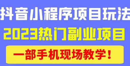 抖音小程序9.0新技巧，2023热门副业项目，动动手指轻松变现-晟哥学社资源库