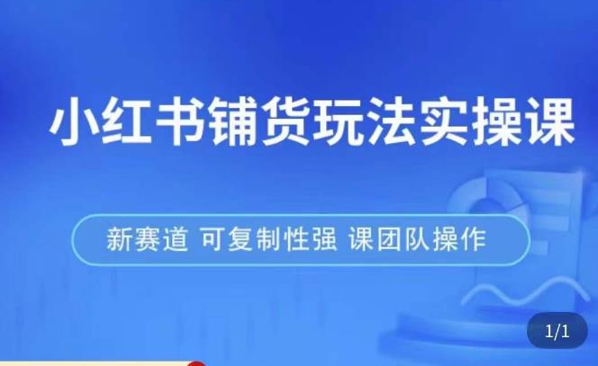 小红书铺货玩法实操课，流量大，竞争小，非常好做，新赛道，可复制性强，可团队操作-晟哥学社资源库