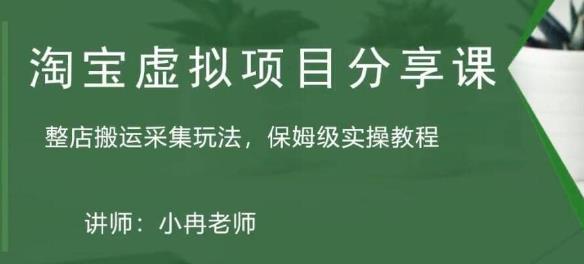 淘宝虚拟整店搬运采集玩法分享课：整店搬运采集玩法，保姆级实操教程-晟哥学社资源库