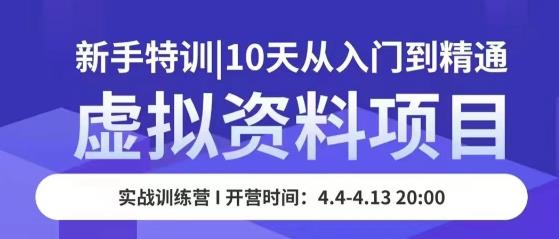 虚拟资料项目新手特训，10天从入门到精通，保姆级实操教学-晟哥学社资源库