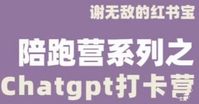 谢无敌ChatGPT打卡营，教你更好地使用ChatGPT来提高工作效率-晟哥学社资源库