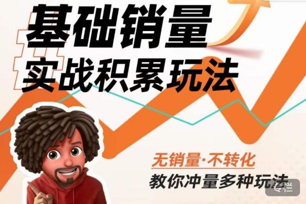 内功丨淘系基础销量实战积累玩法，无销量·不转化，教你冲量多种玩法-晟哥学社资源库