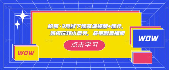哈哥·3月线下实操课高清视频+课件，如何玩转小而美，高毛利直播间-晟哥学社资源库