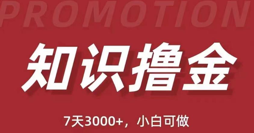 抖音知识撸金项目：简单粗暴日入1000+执行力强当天见收益(教程+资料)-晟哥学社资源库