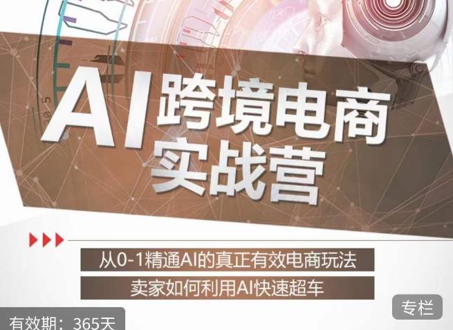 白龙老师·AI跨境电商实战营：从0-1精通Al的真正有效电商玩法，卖家如何利用Al快速超车-晟哥学社资源库