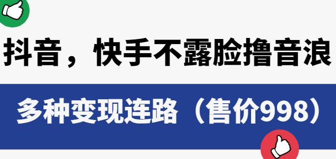 抖音快手不露脸撸音浪项目，多种变现连路（售价998）-晟哥学社资源库