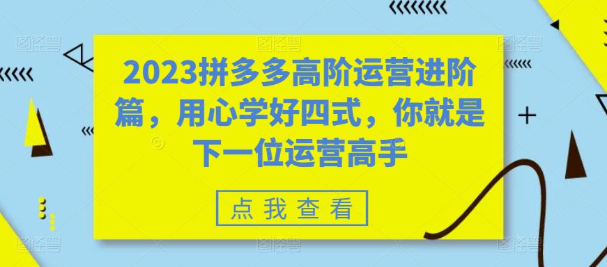 2023拼多多高阶运营进阶篇，用心学好四式，你就是下一位运营高手-晟哥学社资源库