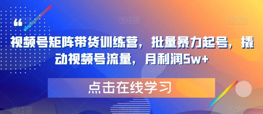 视频号矩阵带货训练营，批量暴力起号，撬动视频号流量，月利润5w+-晟哥学社资源库