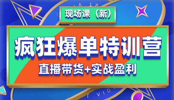 抖音短视频疯狂爆单特训营现场课（新）直播带货+实战案例-晟哥学社资源库