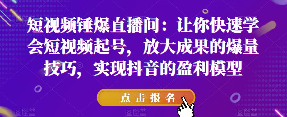 短视频锤爆直播间：让你快速学会短视频起号，放大成果的爆量技巧，实现抖音的盈利模型-晟哥学社资源库
