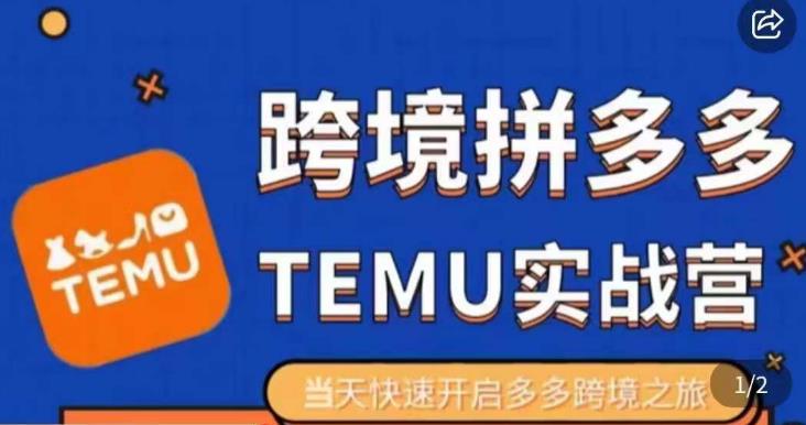 大鹏出海·拼多多跨境temu运营指导，开店注册+选品+核价上架，日出千单实战课-晟哥学社资源库