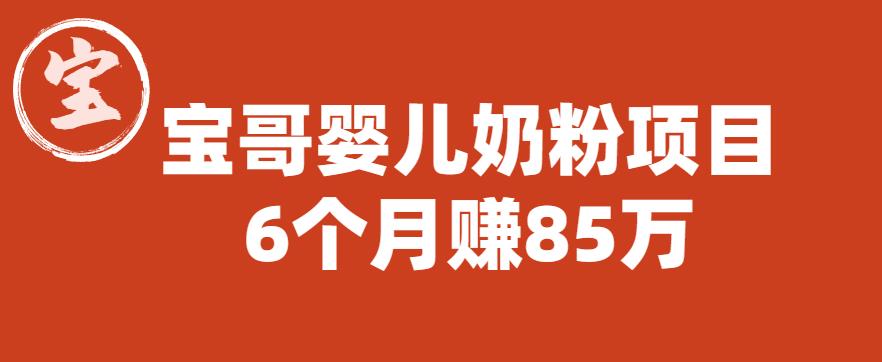 宝哥婴儿奶粉项目，6个月赚85w【图文非视频】【揭秘】-晟哥学社资源库