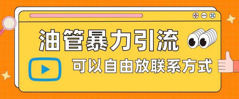 油管暴力引流，可以自由放联系方式【揭秘】-晟哥学社资源库