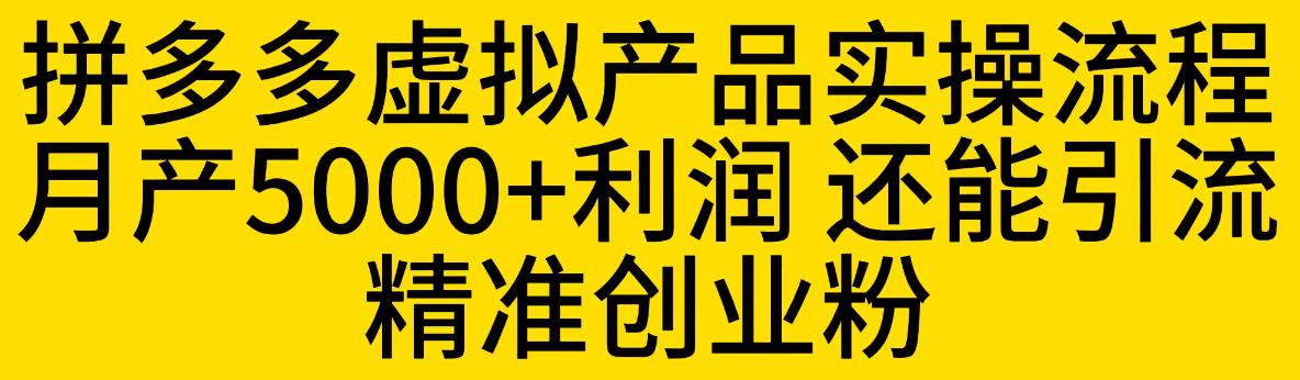 拼多多虚拟产品实操流程，月产5000+利润，还能引流精准创业粉【揭秘】-晟哥学社资源库