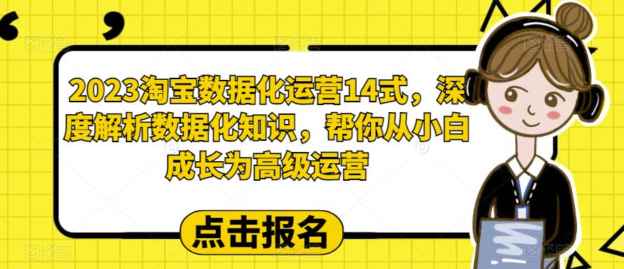 2023淘宝数据化运营14式，深度解析数据化知识，帮你从小白成长为高级运营-晟哥学社资源库