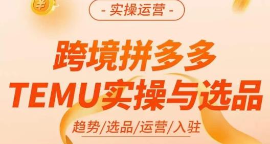 伍跃·跨境拼多多TEMU实操与选品，​趋势/选品/运营/入住（27节完整）-晟哥学社资源库