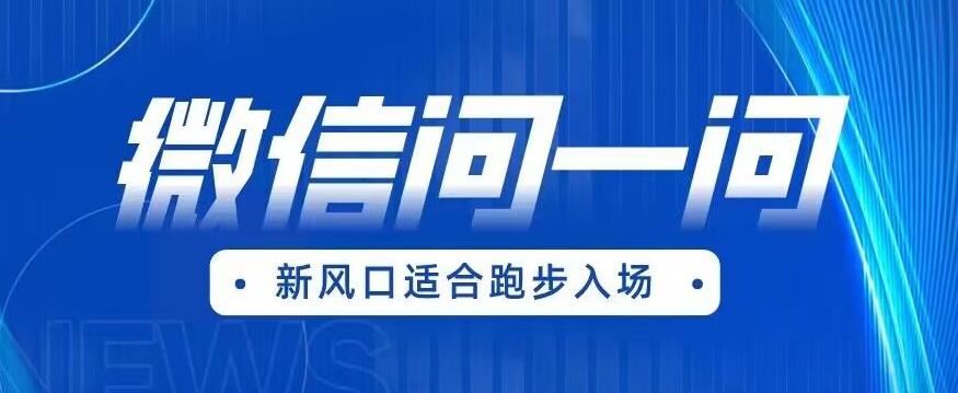 全网首发微信问一问新风口变现项目（价值1999元）【揭秘】-晟哥学社资源库