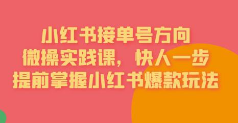 接单号方向·小红书微操实践课，快人一步，提前掌握小红书爆款玩法-晟哥学社资源库