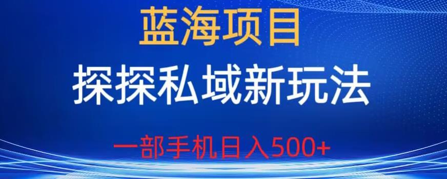 蓝海项目，探探私域新玩法，一部手机日入500+很轻松【揭秘】-晟哥学社资源库