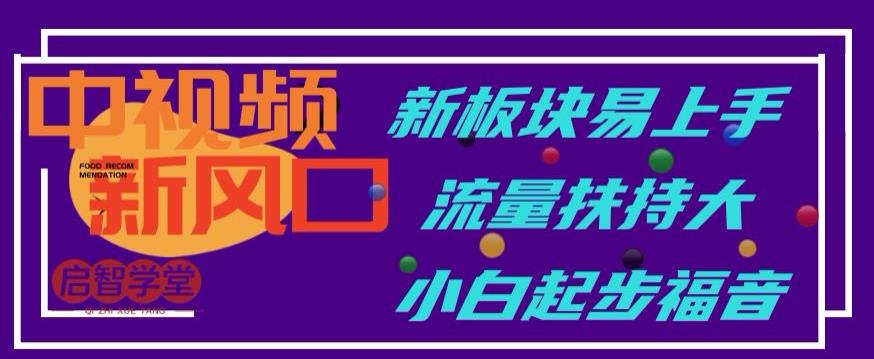 中视频新风口，新板块易上手，流量扶持大，小白起步福音【揭秘】-晟哥学社资源库