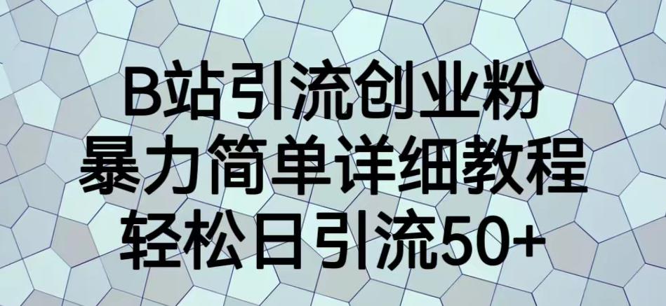 B站引流创业粉，暴力简单详细教程，轻松日引流50+【揭秘】-晟哥学社资源库