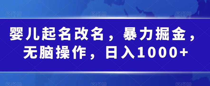 婴儿起名改名，暴力掘金，无脑操作，日入1000+【揭秘】-晟哥学社资源库