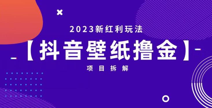 抖音壁纸小程序创作者撸金项目，2023新红利玩法【项目拆解】-晟哥学社资源库
