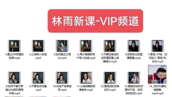林雨新课VIP频道，玩赚私域/朋友圈/社群-晟哥学社资源库