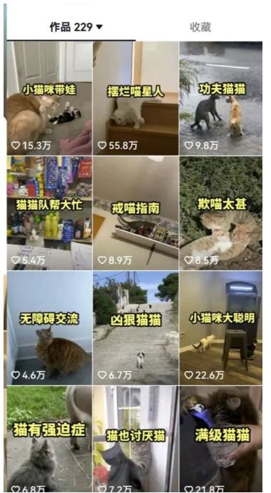 拆解抖音盘点类中视频变现副业项目，视频版一条龙大解析分享给你【视频课程】-晟哥学社资源库