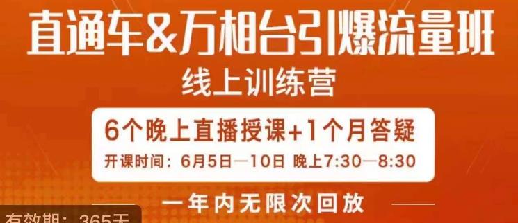 直通车&万相台引爆流量班，6天打通你开直通车·万相台的任督二脉-晟哥学社资源库