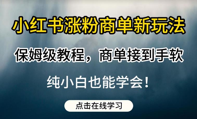 小红书涨粉商单新玩法，保姆级教程，商单接到手软，纯小白也能学会【揭秘】-晟哥学社资源库