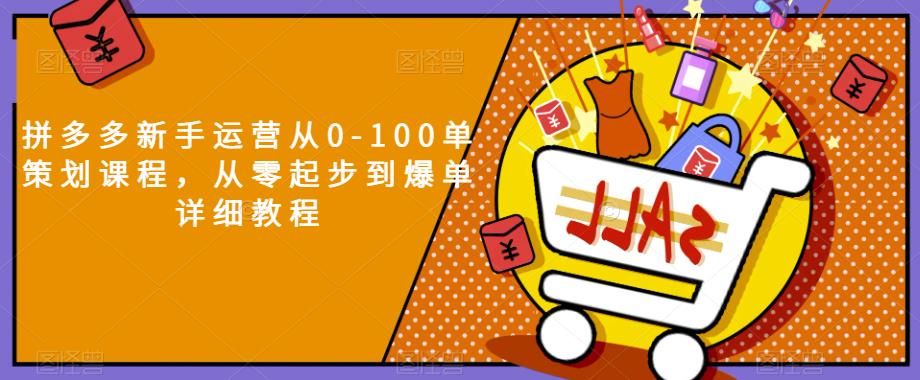 拼多多新手运营从0-100单策划课程，从零起步到爆单详细教程-晟哥学社资源库
