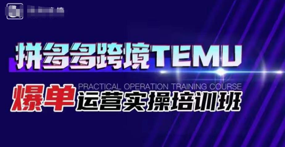 拼多多跨境TEMU爆单运营实操培训班，海外拼多多的选品、运营、爆单-晟哥学社资源库