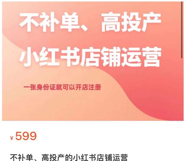 不补单、高投产的小红书店铺运营，一张身份证就可以开店注册-晟哥学社资源库