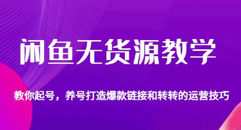 闲鱼无货源教学，教你起号，养号打造爆款链接以及转转的运营技巧-晟哥学社资源库