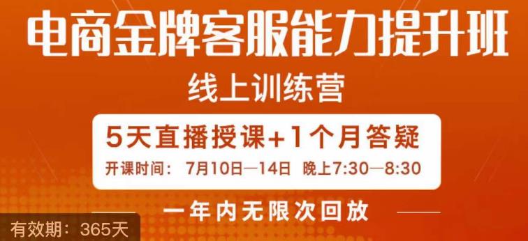 电商金牌客服能力提升班，提升客服能力是你店铺业绩的关键要素-晟哥学社资源库
