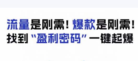 电商盈利精品课：6大盈利密码让产品更好卖，流量是刚需！爆款是刚需！找到”盈利密码”一键起爆-晟哥学社资源库