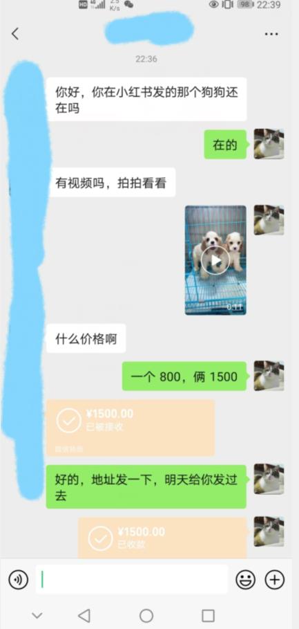 外边收费3980的同城萌宠项目，用最冷门的玩法冲击最热门的市场【揭秘】-晟哥学社资源库