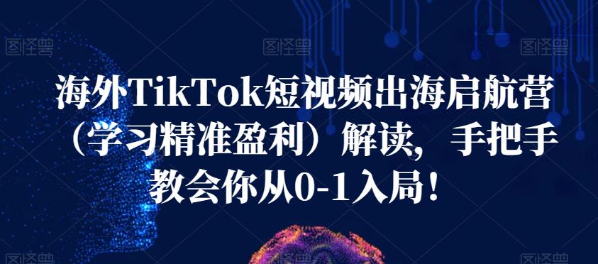 海外TikTok短视频出海启航营（学习精准盈利）解读，手把手教会你从0-1入局！-晟哥学社资源库